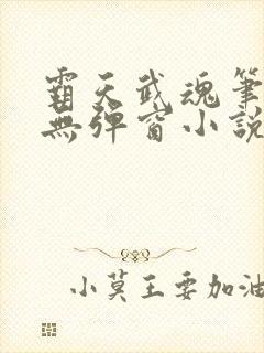 霸天武魂笔趣阁无弹窗小说