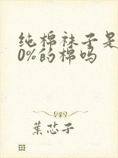 纯棉袜子是100%的棉吗