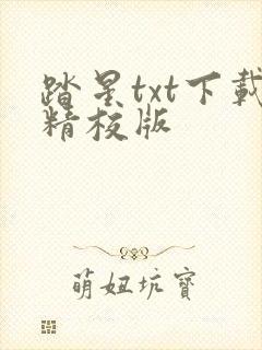 踏星txt下载精校版