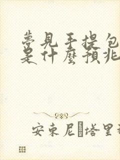 梦见手提包丢了是什么预兆