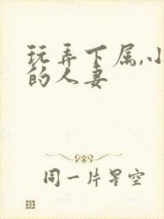 玩弄下属,小李的人妻封面