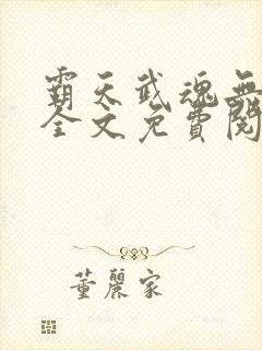 霸天武魂无弹窗全文免费阅读