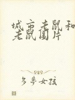 城市老鼠和乡下老鼠图片封面