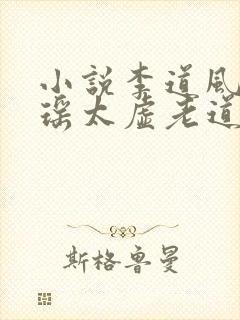 小说李道风江雪瑶太虚老道是哪个小说