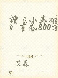 读《小英雄雨来》有感800字封面