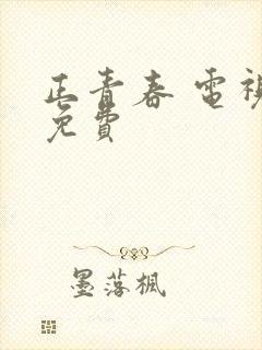 正青春 电视剧免费