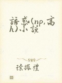 诱惑(np,高h)小说