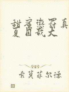 甜蜜惩罚真人版夏目哉大封面