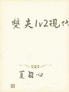双夫1v2现代