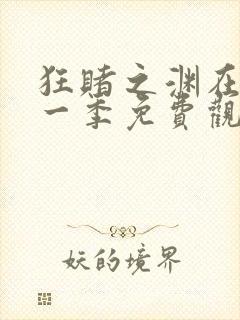 狂赌之渊在线第一季免费观看真人