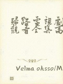 归路电视剧免费观看全集高清完整版