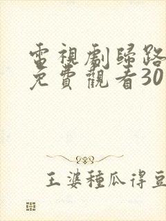 电视剧归路全集免费观看30集完整版