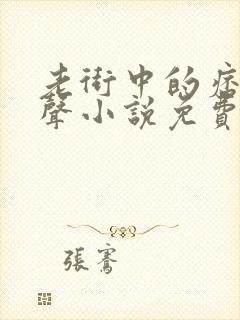 老街中的痞子有声小说免费听