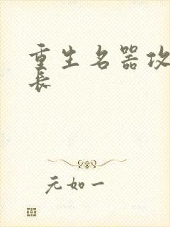 重生名器攻略兄长