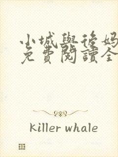 小城与后妈小说免费阅读全文最新章节封面