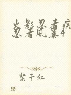 火影忍者疾风传忍者风暴4