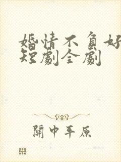 婚情不负好春光短剧全剧