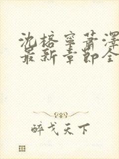 沈榕宁萧泽小说最新章节全文阅读封面