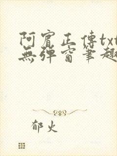 阿宾正传txt无弹窗笔趣阁