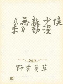 《无敌少侠第三季》动漫