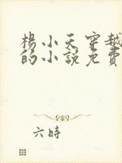 杨小天穿越武魂的小说免费阅读无弹窗下载