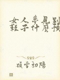 女人梦见别人送鞋子什么预兆封面