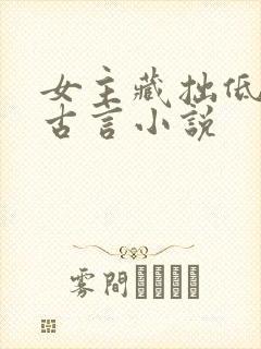 女主藏拙低调的古言小说封面