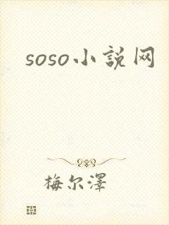 soso小说网