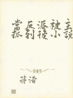 当反派被主角们抓到后小说