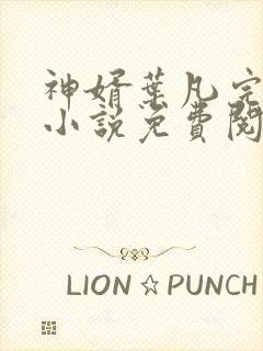 神婿叶凡完整版小说免费阅读封面