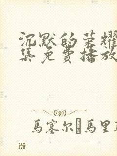 沉默的荣耀32集免费播放封面