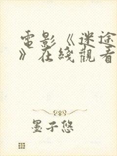 电影《迷途救赎》在线观看免费高清封面