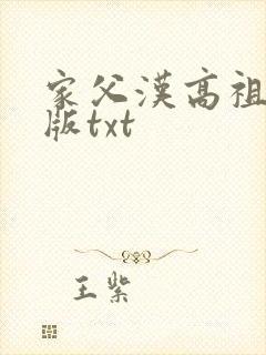 家父汉高祖精准版txt封面