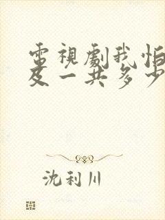 电视剧我怕来不及一共多少集封面