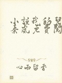 小说我的儿媳是秦岚免费阅读