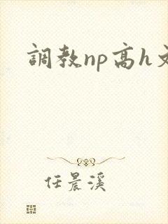 调教np高h文封面