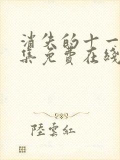 消失的十一层全集免费在线观看封面