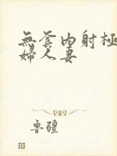 无套内射极品少妇人妻封面