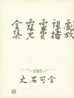 金霞电视剧40集免费播放