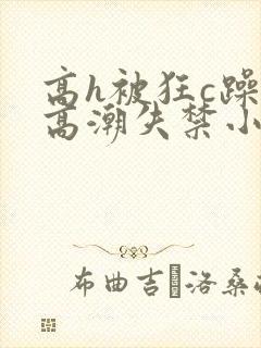 高h被狂c躁到高潮失禁小说