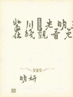 紫川·光明三杰在线观看免费高清完整版