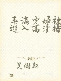 丰满少妇被猛烈进入高清播放,