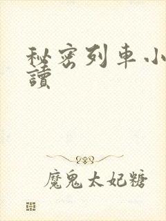 秘密列车小说阅读