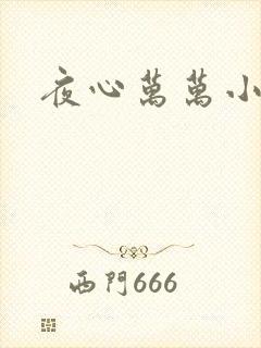 夜心万万小说