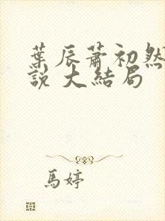 叶辰萧初然 小说 大结局