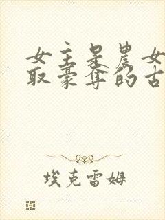 女主是农女被强取豪夺的古言封面