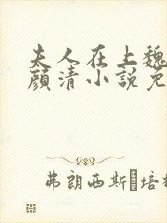 夫人在上魏舒寒颜清小说免费阅读