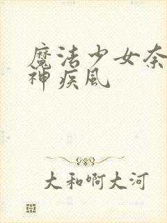 魔法少女奈叶八神疾风封面