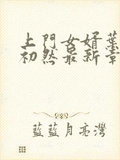 上门女婿叶辰萧初然最新章节免费阅读