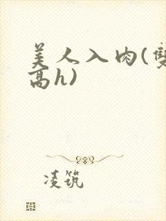 美人入肉(双性高h)